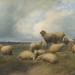 Landscape with Sheep